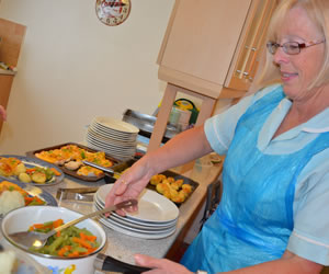 BVDF home help meals